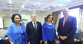 Grupo Iniciativa por la Paridad asiste a reuni�n con miembros de la OEA