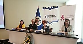OEA anima a Panam� para que la voluntad pol�tica d� espacios a m�s mujeres