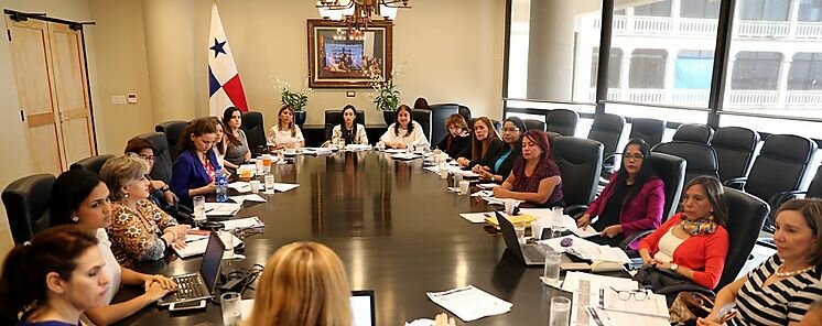 Consejo Nacional de Paridad de G�nero adopta Plan de Acci�n para primer semestre de 2019